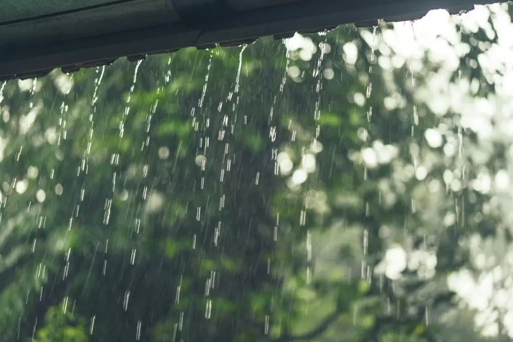 Em chuva, saiba a diferenca entre infiltracao e vazamento